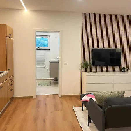 2-bedroom At Hahn Airport